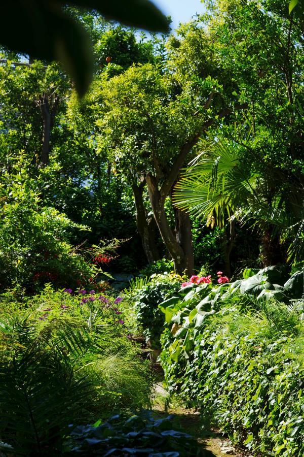 Villa Preziosa Al Pizzo 3 Km Da Sorrento Sant’Agnello Kültér fotó