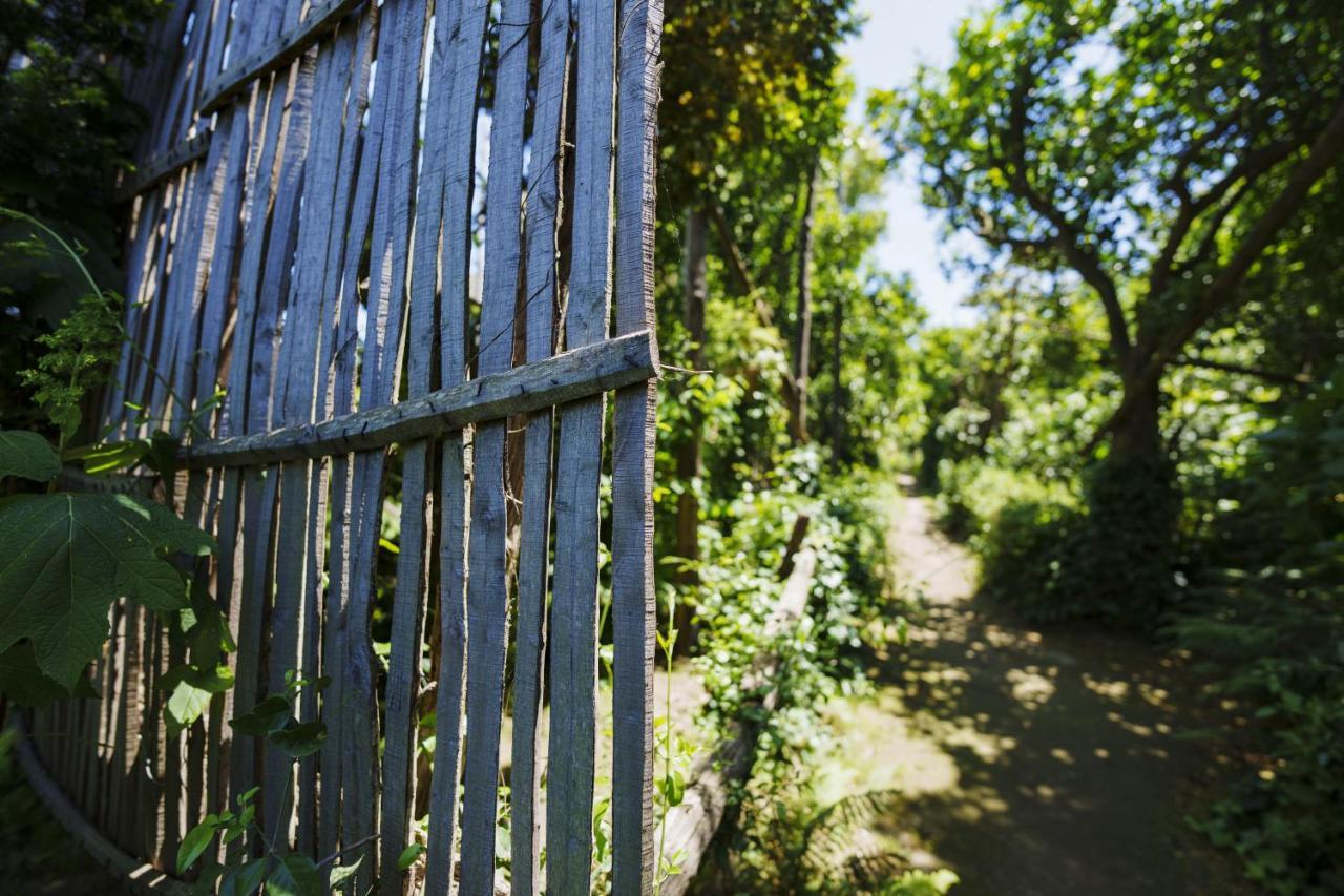Villa Preziosa Al Pizzo 3 Km Da Sorrento Sant’Agnello Kültér fotó