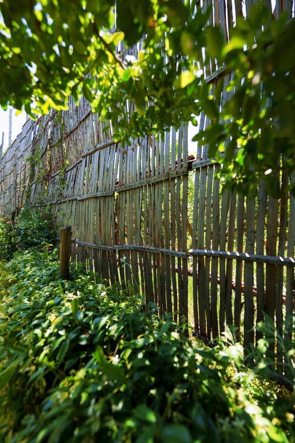 Villa Preziosa Al Pizzo 3 Km Da Sorrento Sant’Agnello Kültér fotó
