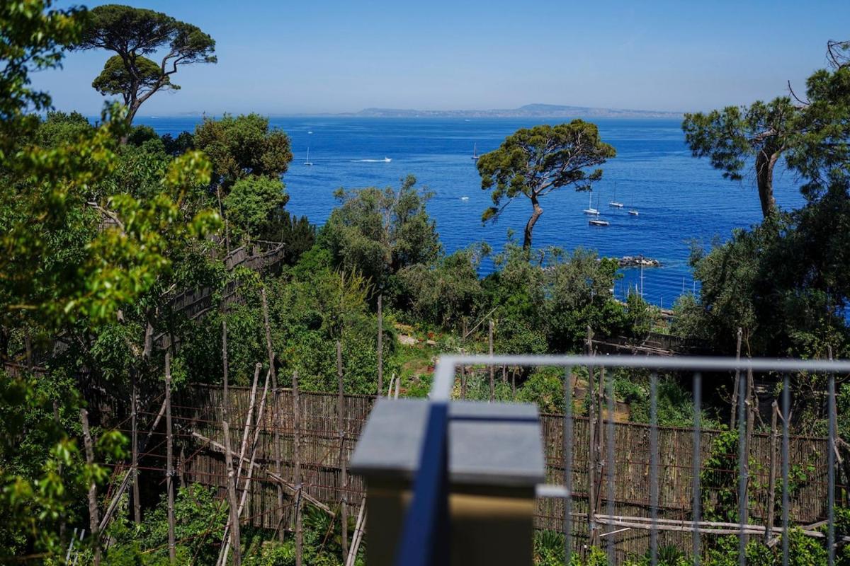 Villa Preziosa Al Pizzo 3 Km Da Sorrento Sant’Agnello Kültér fotó