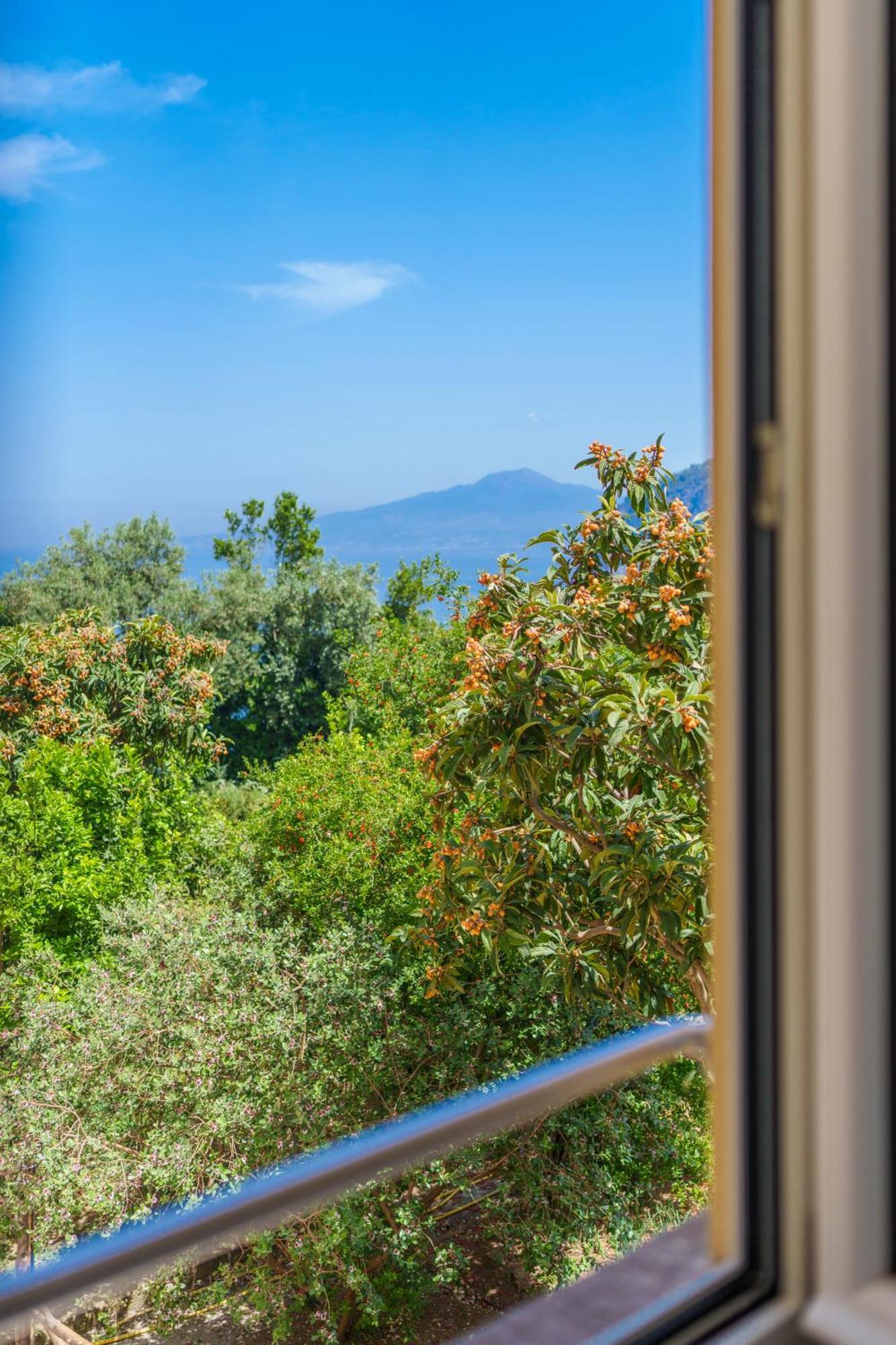 Villa Preziosa Al Pizzo 3 Km Da Sorrento Sant’Agnello Kültér fotó