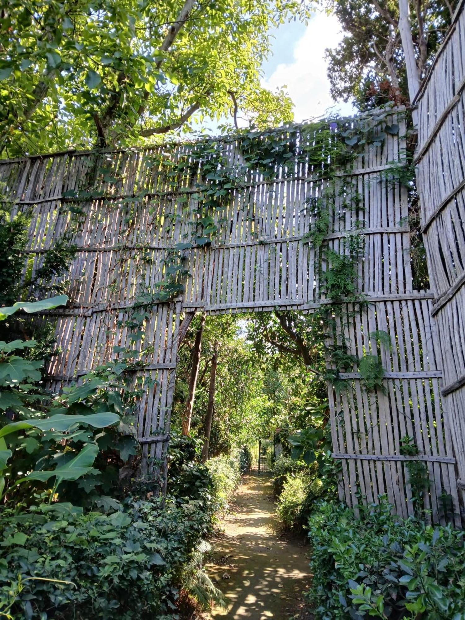 Villa Preziosa Al Pizzo 3 Km Da Sorrento Sant’Agnello Kültér fotó